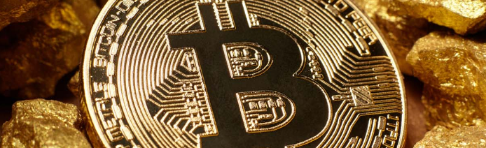 bitcoin will replace gold
