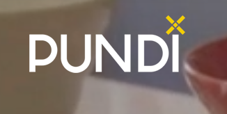 pundi x (NPXS)
