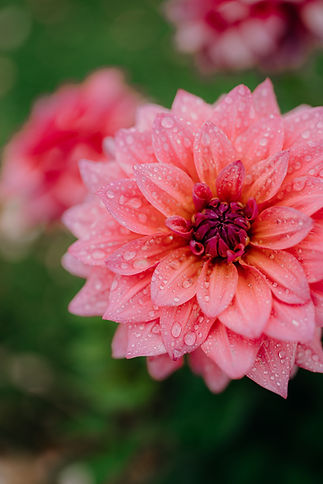 2024-08-20 Laura Jayne Photographer_CharlotteCallum10.jpg