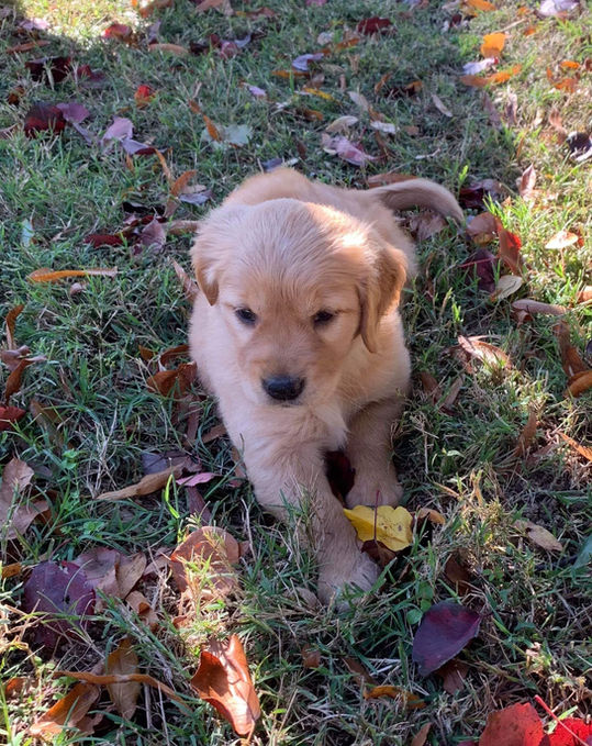 heidi  baby fall.jpg