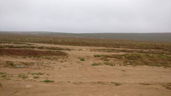 Miniatura: Terrenos en Facilidades de pago, Camalu Ensenada