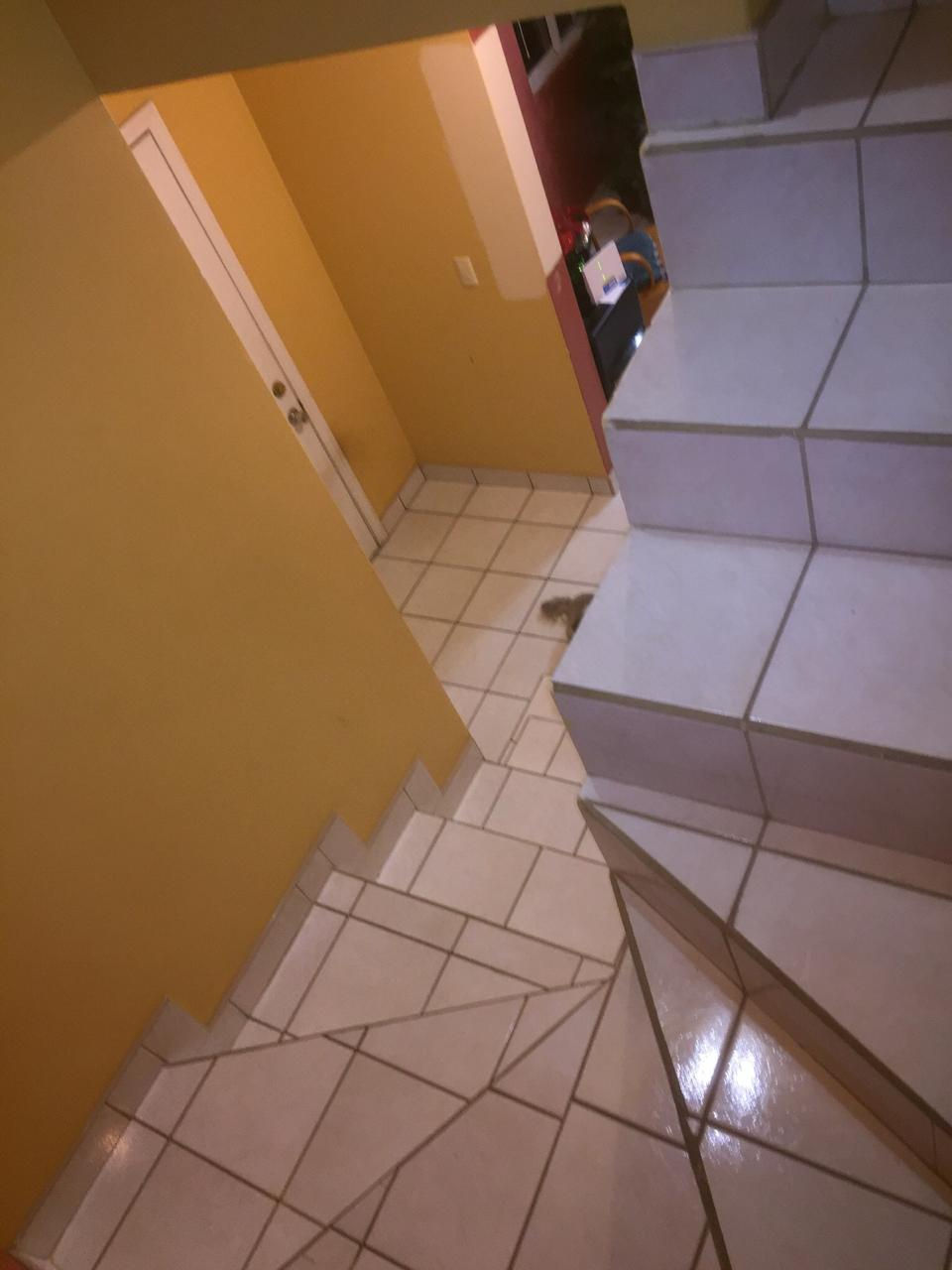 Miniatura: Fraccionamiento Residencial San Marino, Rosarito B.C.