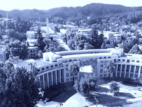 Más moderno, sustentable y seis veces más grande que el actual: Así es el nuevo campus que tendrá la Universidad de Concepción