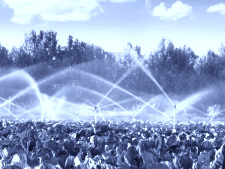 Falta de política de Estado y permisología: Las trabas que enfrenta la desalación para la agricultura en Chile