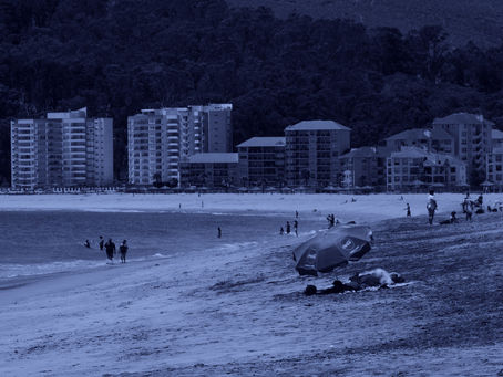 Por qué exclusivo proyecto de 600 departamentos en Papudo deberá ser sometido a Sistema de Evaluación Ambiental