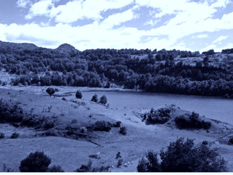 “Coyhaique va a ser el próximo Puerto Varas”: fundador de Vida Patagonia proyecta alta plusvalía por auge inmobiliario en Aysén