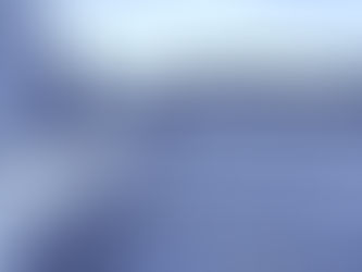 Tribunal Ambiental ordena arresto de representantes de Inversiones Lampa por incumplir medidas en humedal Puente Negro