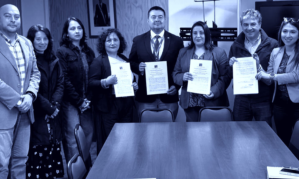 Comité de vivienda de Valdivia asegura terreno y avanza hacia la casa propia