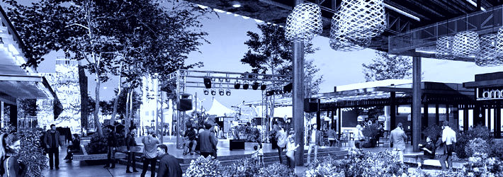 Proyecto Parque Chicureo