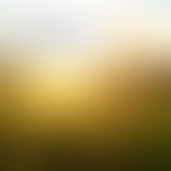 Bouncing Back From Challenging Times