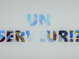 UN SERVEUR!?