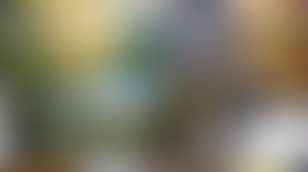 Angkor mercado nocturno.