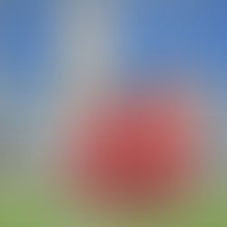 Real meda 4-4 pro sesto women