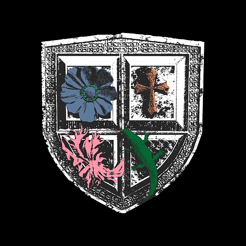 Shield Poster.png