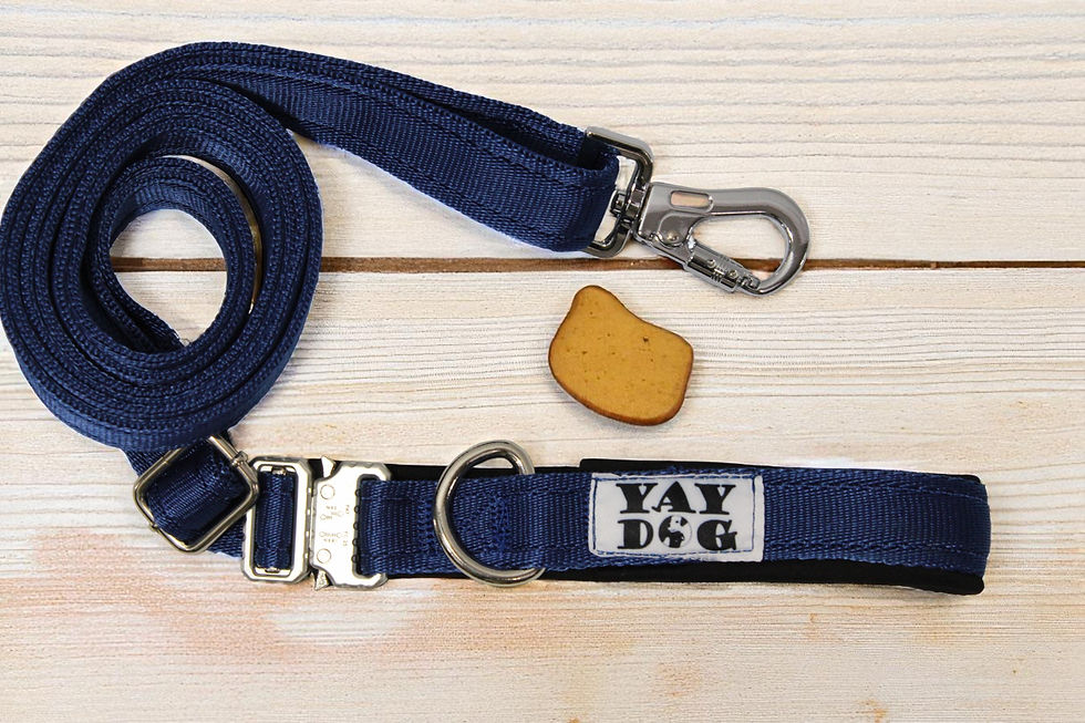 Thumbnail: Hands Free Training Lead