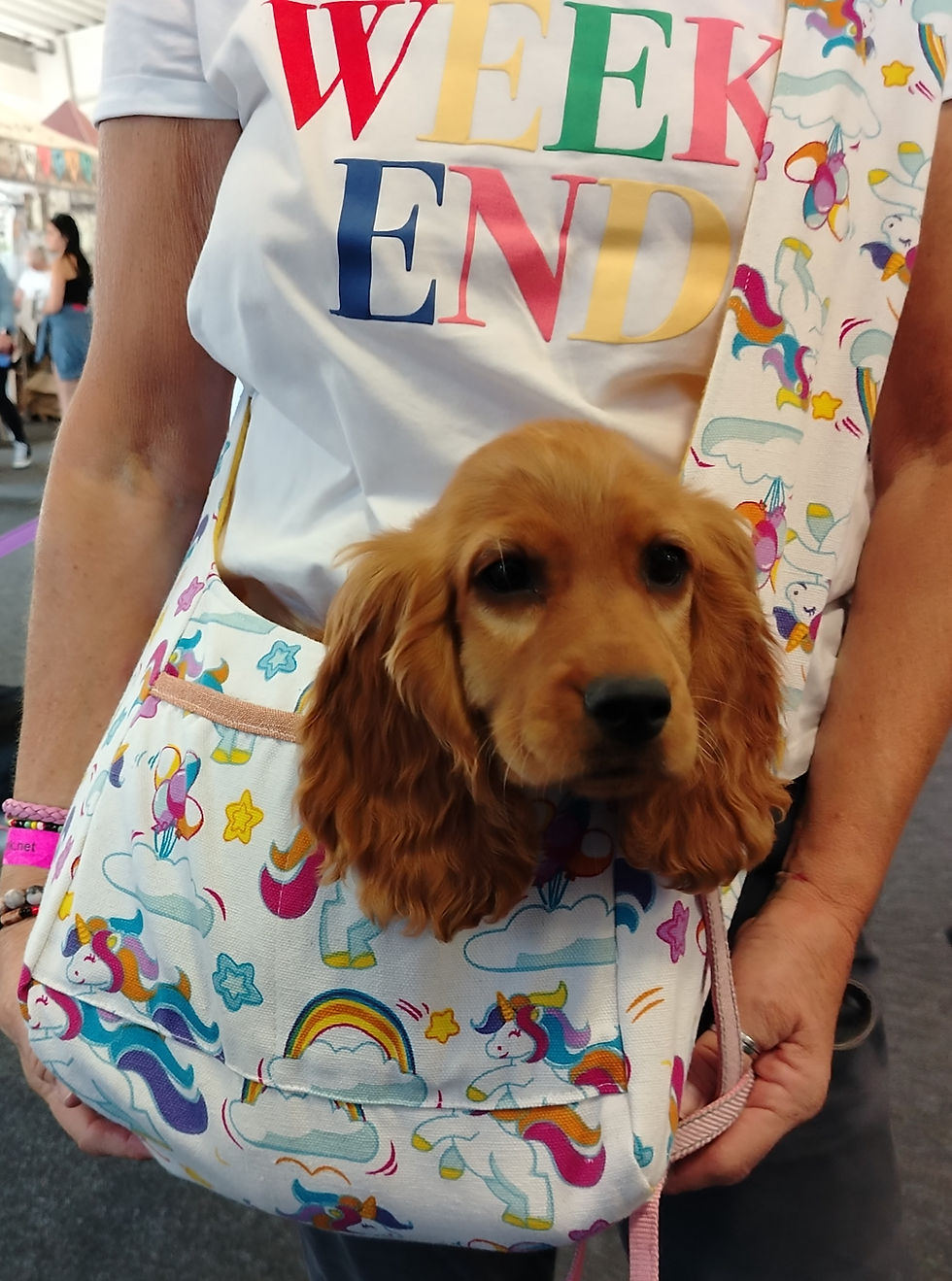 Thumbnail: Puppy Sling Bag