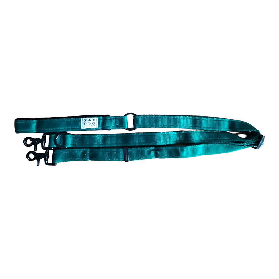 Thumbnail: Free Handle Lead