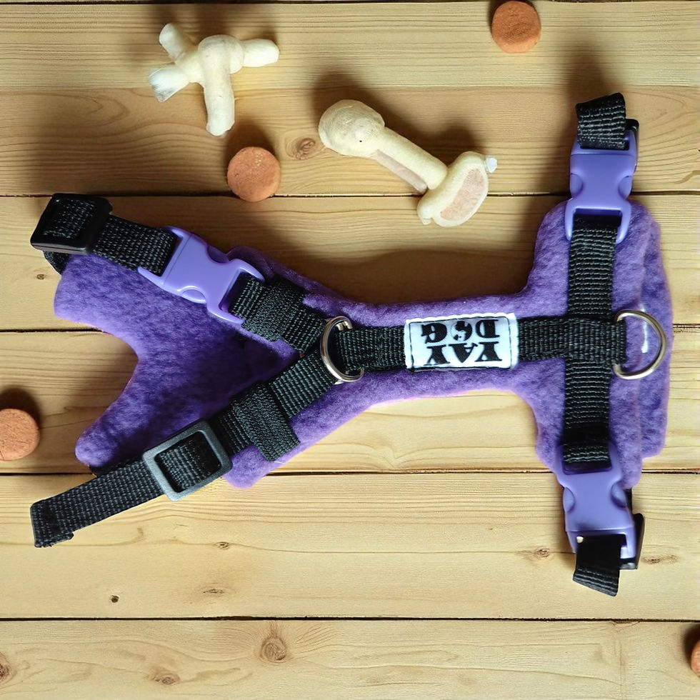 Thumbnail: Ultra Soft Walking Harness