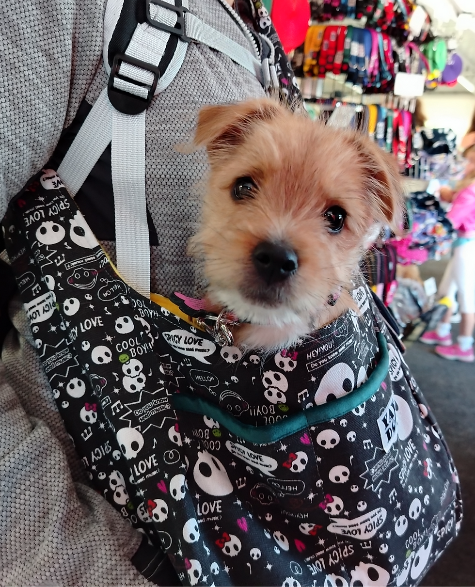 Thumbnail: Puppy Sling Bag