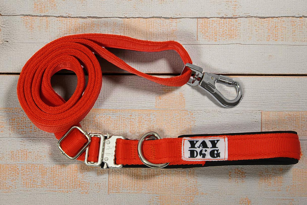 Thumbnail: Hands Free Training Lead
