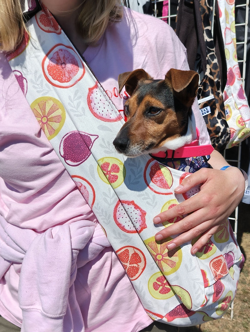 Thumbnail: Puppy Sling Bag