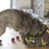 Thumbnail: Sniffing Bin