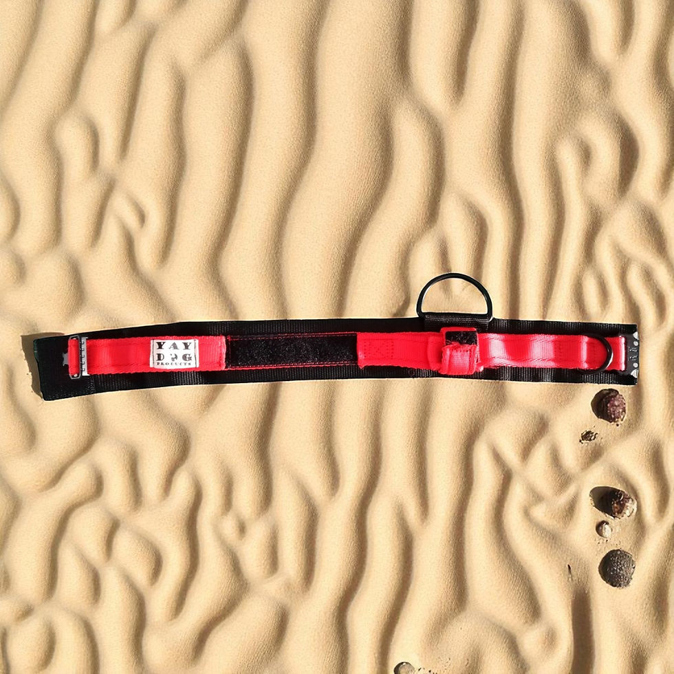 Thumbnail: Tactical Collar