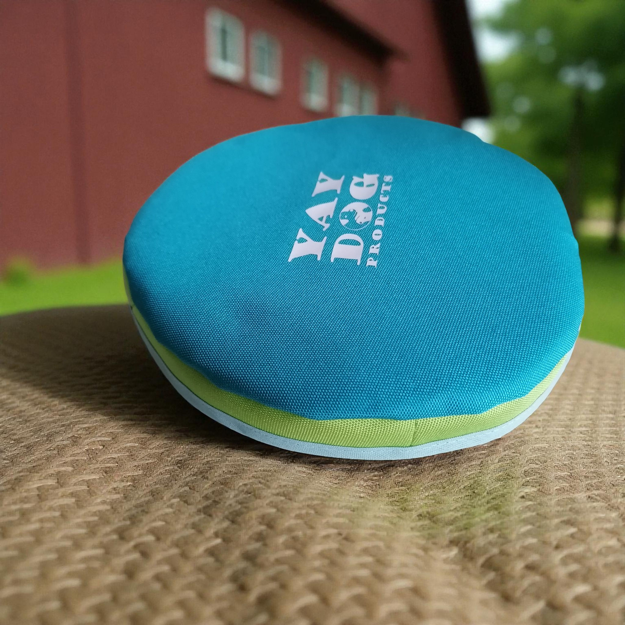 Frisbee