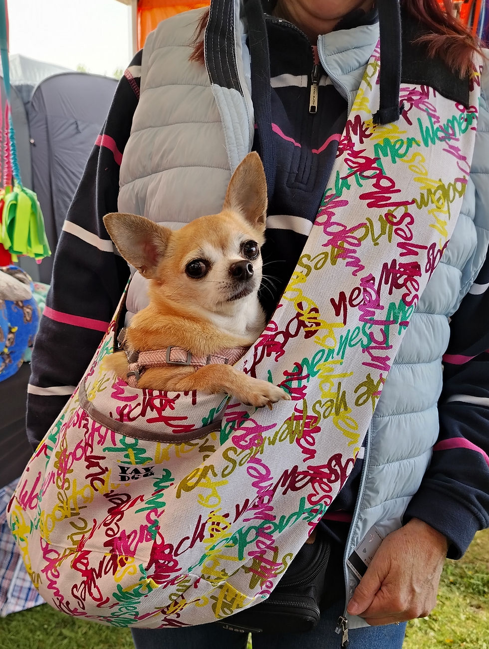 Thumbnail: Puppy Sling Bag