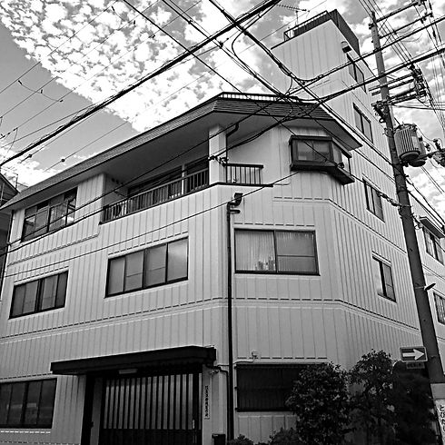 toyopic_edited_edited_edited.jpg
