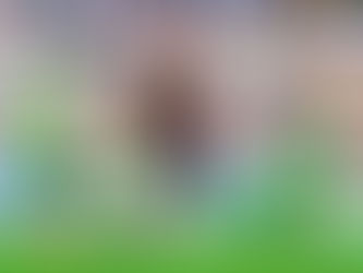 Defining a Good or Bad Performance in Development Coaching - Lewis Craig