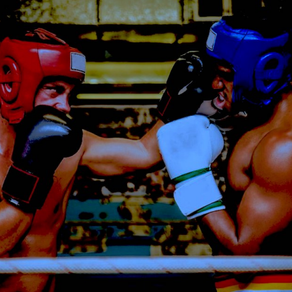 Sparring Partners - Michael Thomas and Lewis Craig