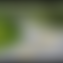 LUA NOVA EIXO GÊMEOS-SAGITÁRIO