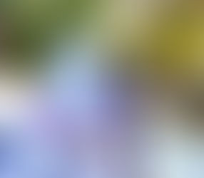 【KYRAプレゼント】BellGloゴルフグローブ