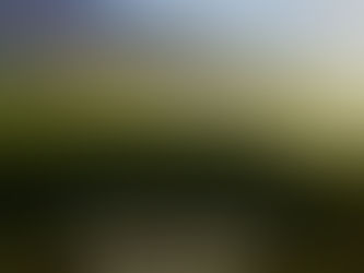 Rooted & Radiant: Day 28