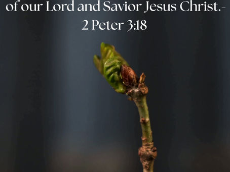 Rooted & Radiant: Day 21