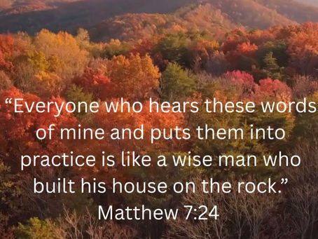 Rooted & Radiant: Day 14