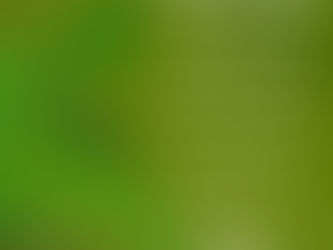 Rooted & Radiant: Day 25