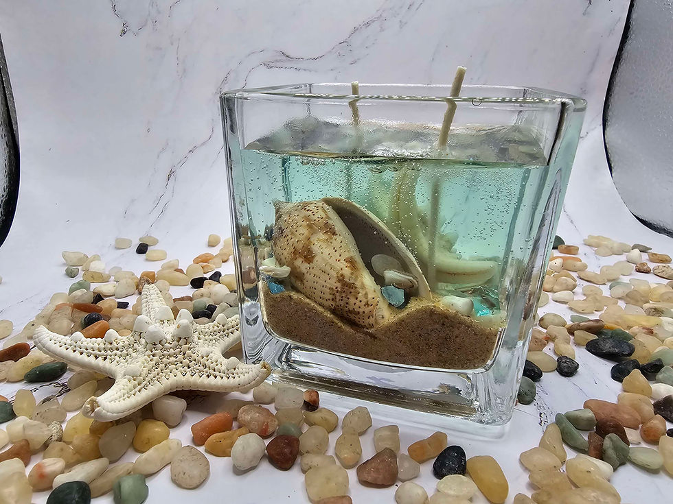 Thumbnail: Under the Sea