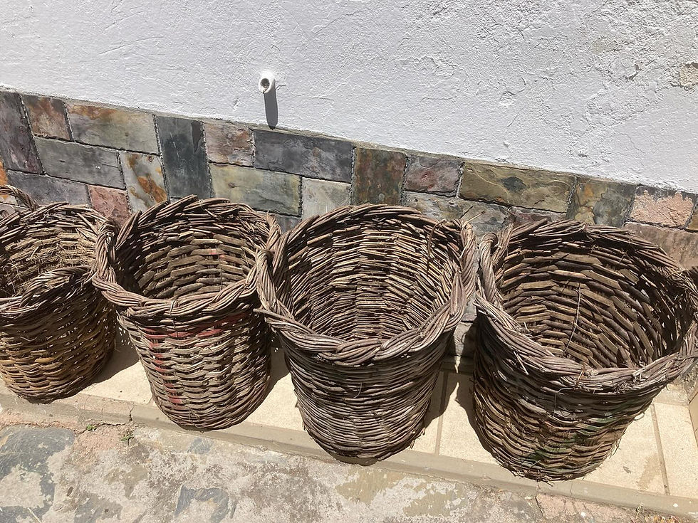 Thumbnail: LARGE VINTAGE SKÓPELOS PLUM BASKETS