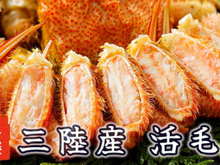 三陸 活毛ガニ（ 毛蟹）| 【公式ECサイト】河合商店 | 岩手県大槌町