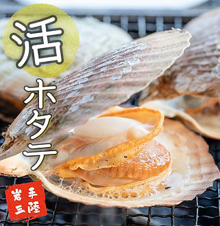 ホタテ | 【公式ECサイト】河合商店 | 岩手県大槌町 | 三陸海の幸