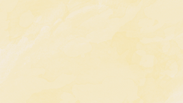 Untitled design (24).png