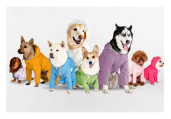 23犬種量身訂做，保證專屬合身