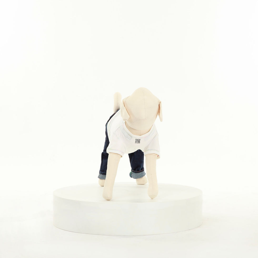 Thumbnail: 汪 T T｜臘腸/長臘腸/狐狸