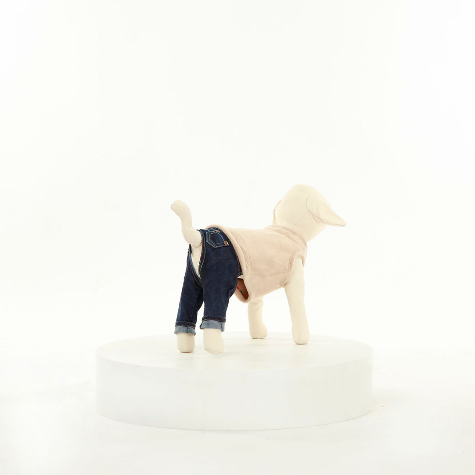 縮圖：汪背心｜馬爾/博美/約克夏/吉娃娃