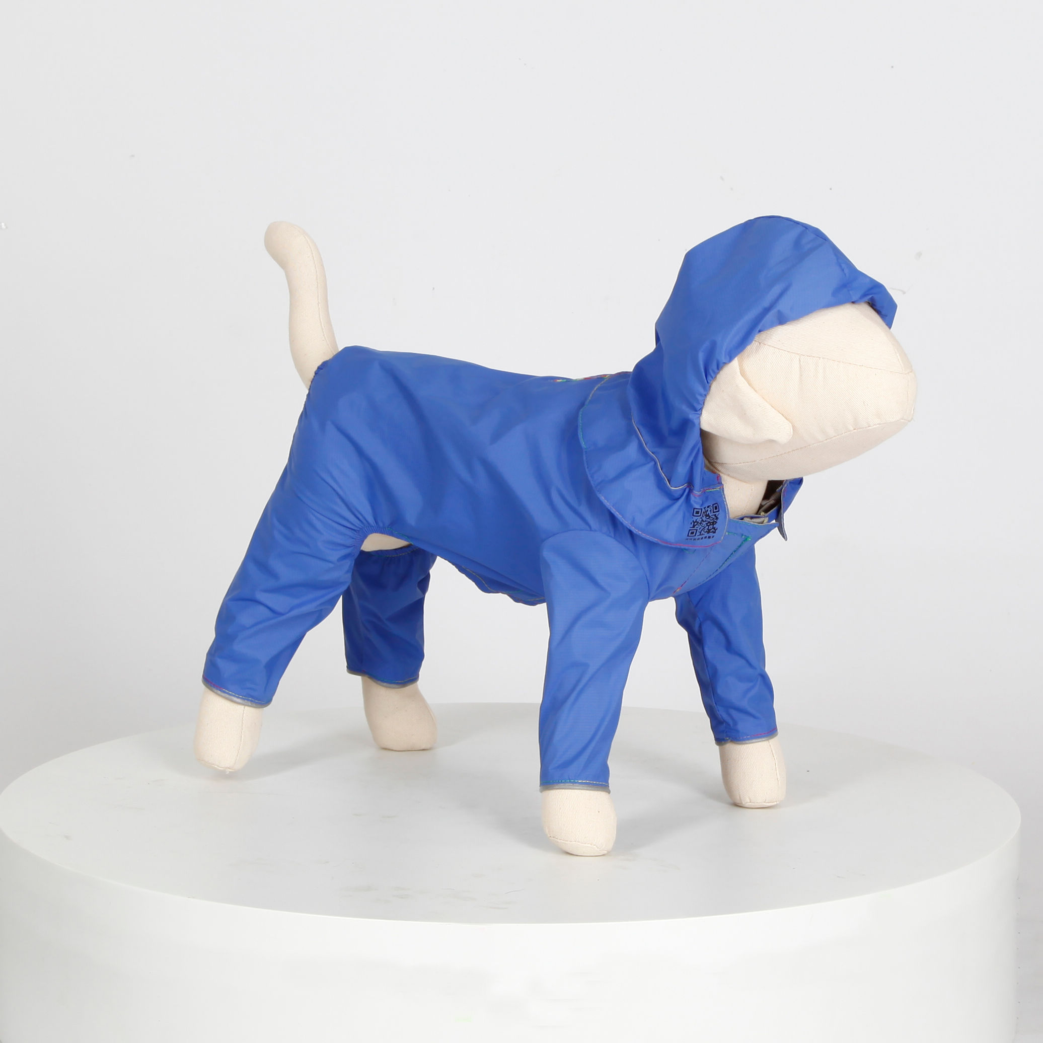 汪雨衣｜吉娃娃