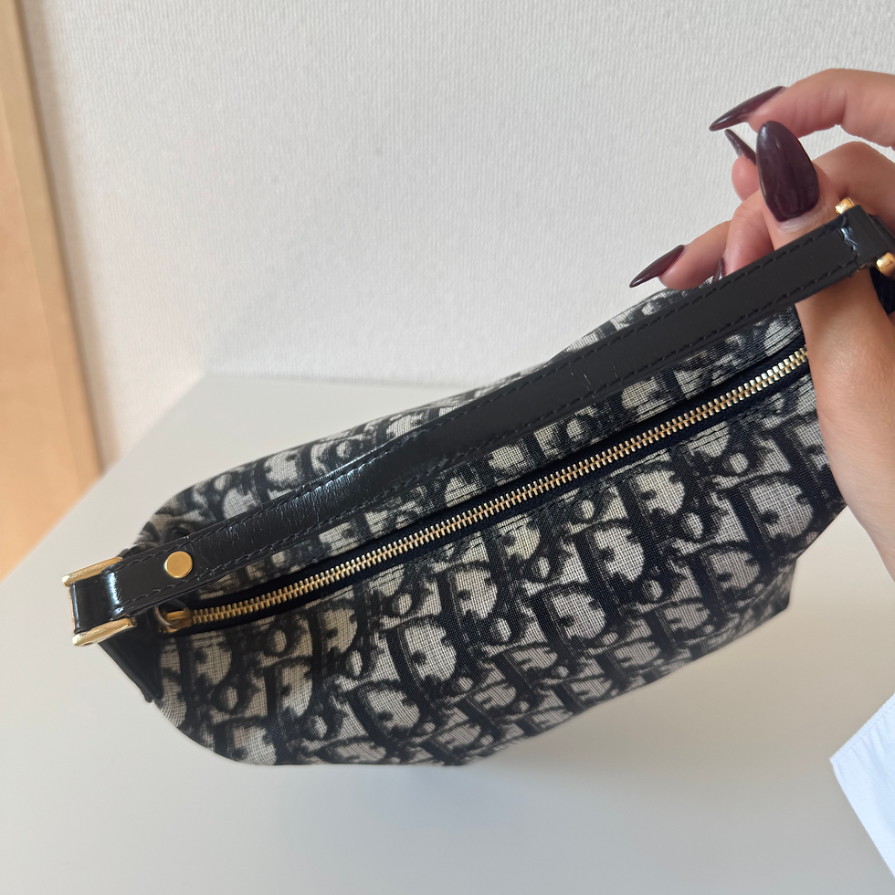 Thumbnail: CHRISTIAN DIOR Trotter Handbag 
