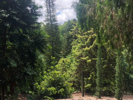 The January 23' Collection is Out Now!