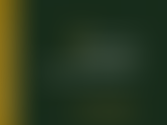 Die Texte der dritten Ausgabe des Jahrbuchs sind nun online verfügbar!